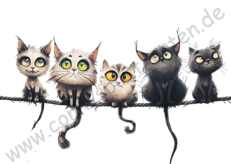 Tiere - Skurrile Katzen 3