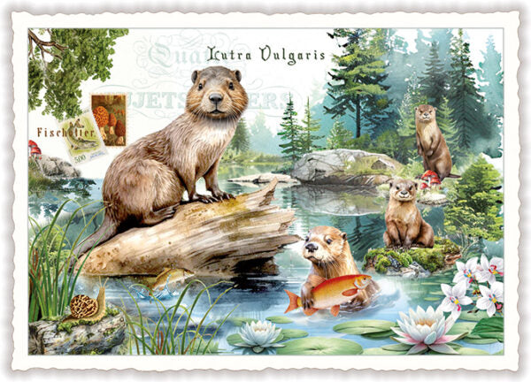 PK 1324 - Otter (o. T.) (Quer)