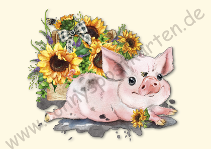Tiere - Schwein mit Sonnenblumen