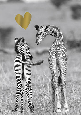 Hartung Verlag - Amazing Gold - Zebra