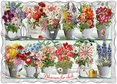 Barbara Behr - Blumen für dich (Blumen in Töpfen) No. 15