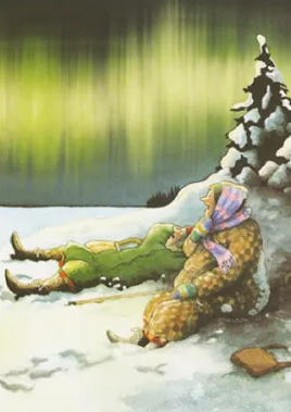 Inge Löök 79 - Frauen betrachten Polarlichter