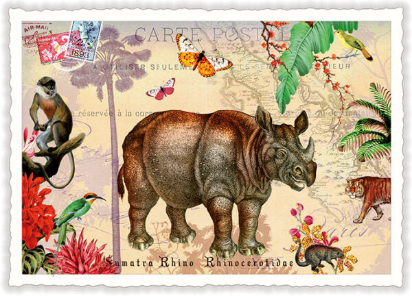 PK 1123 - Wildlife-Edition, Sumatra Nashorn – Rhino – Rhinocéros