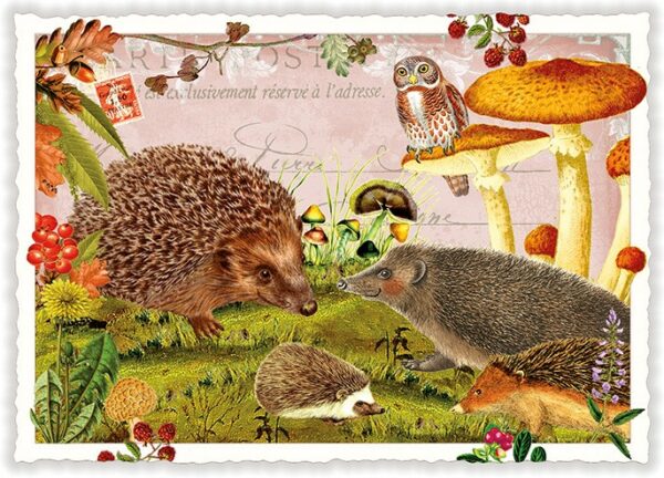 PK 608 - Herbstgefühle