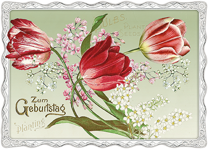Barbara Behr - Zum Geburtstag (Tulpen) No. 09