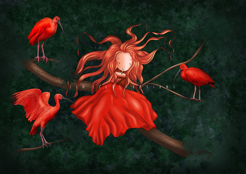 Ila Illustrations 027 - Red ibis