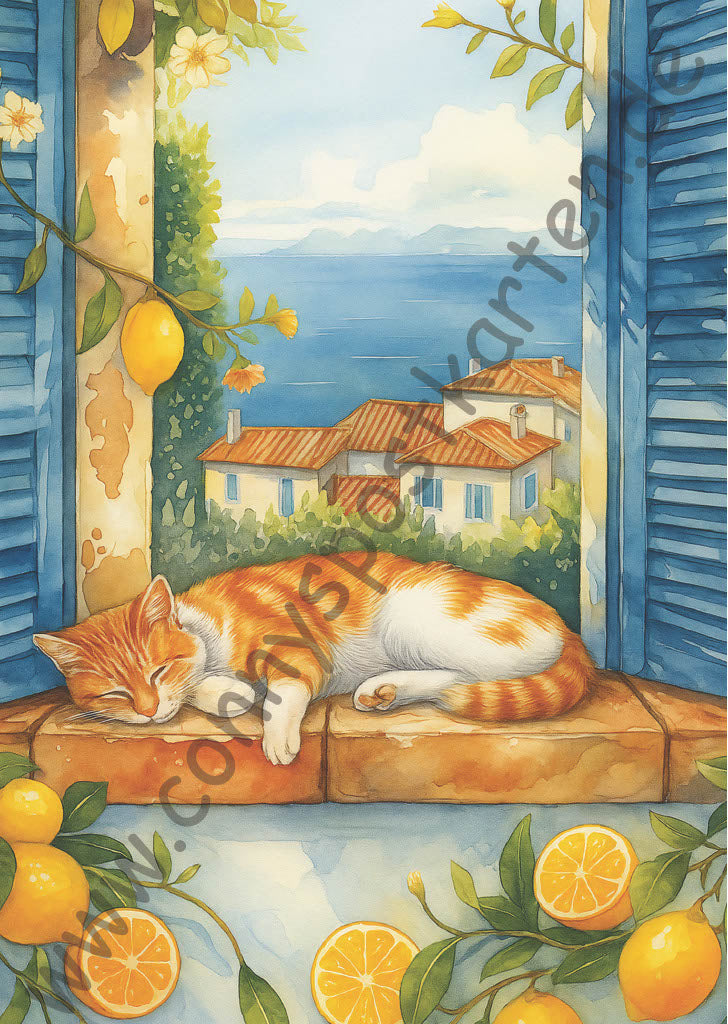 Sommer - LemonCoast - Katze auf Fensterbrett