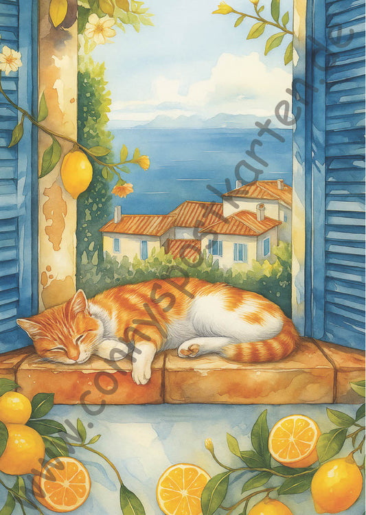 Sommer - LemonCoast - Katze auf Fensterbrett