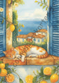 Sommer - LemonCoast - Katze auf Fensterbrett