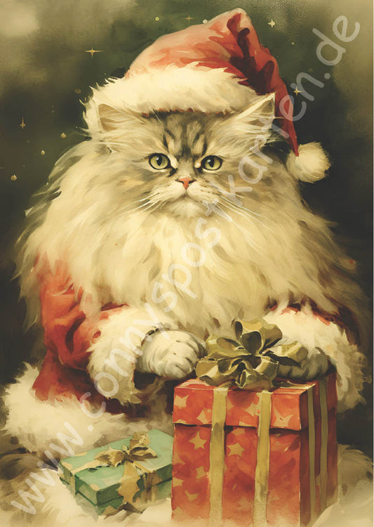 Weihnachten - grün - Katze im Weihnachtsmannkostüm