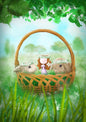 Ila Illustrations 183 - Easter bunnies