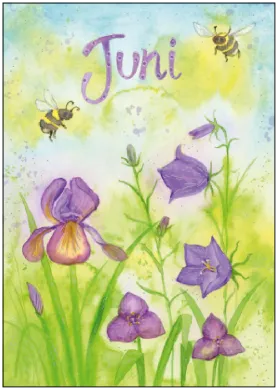 Inga Berkensträter - Juni (Schwertlilie und Glockenblume)