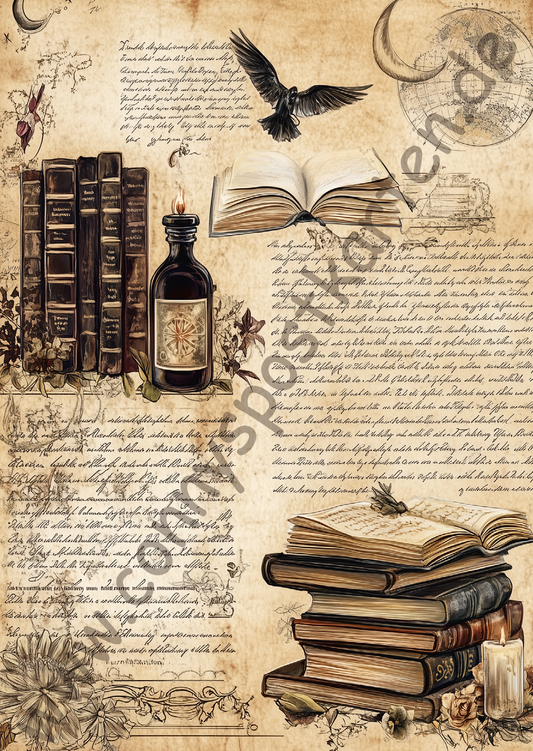 Verschiedenes - BooksPaper - 5