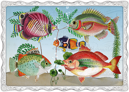 Barbara Behr - Fische No. 18