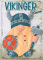 Verschiedenes - Themengnom - Vikinger