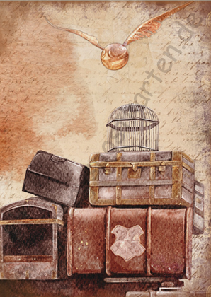 Verschiedenes  - Harry P - Koffer