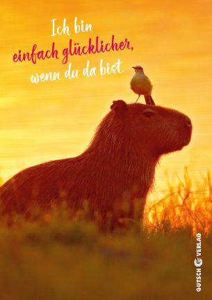 Kultura - Ich bin einfach glücklicher...