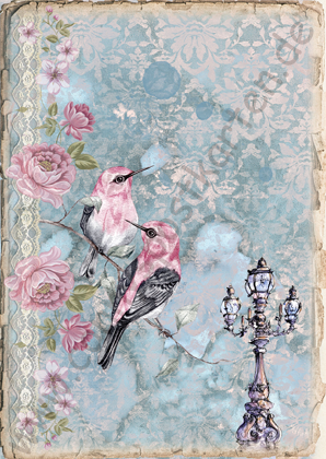 Fantasy - Feen - Vögel mit Laterne