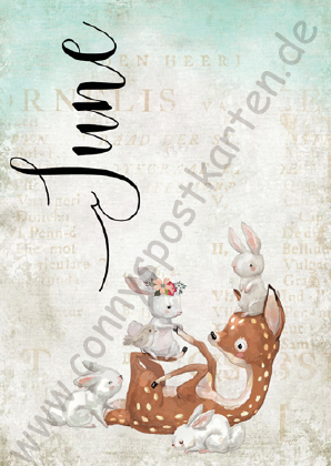 Monate - Mädchen - Juni/June