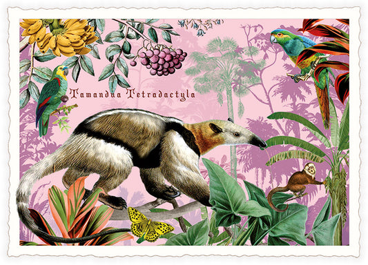 PK 1264 - Ameisenbär