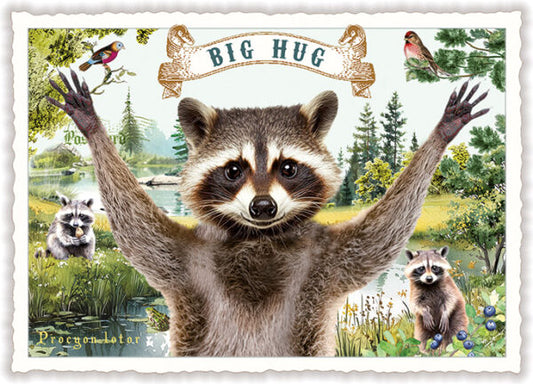 PK 1322 - Big Hug (Quer)