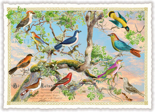 PK 1326 - Vogelbaum (o. T.) (Quer)