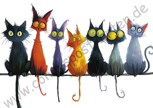 Tiere - Skurrile Katzen 4