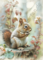 Frühling - Spring Scenery - Eichhörnchen