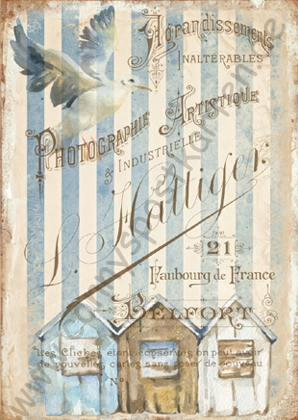 Sommer/Meer - Maritim - Möwe