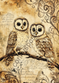 Tiere - Vintage Owls - 7