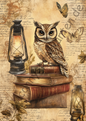 Tiere - Vintage Owls - 5
