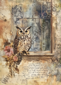 Tiere - Vintage Owls - 8