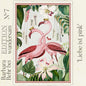 Edition Wundersam - Barbara Behr - No. 7 "Liebe ist pink"