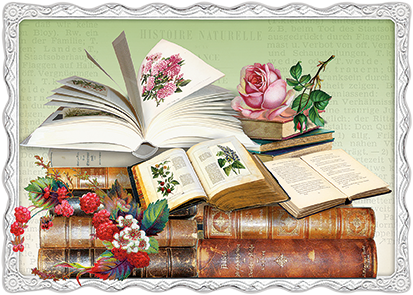 Barbara Behr - Bücher No. 16