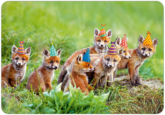 Hartung Verlag - Medley - Partyfüchse