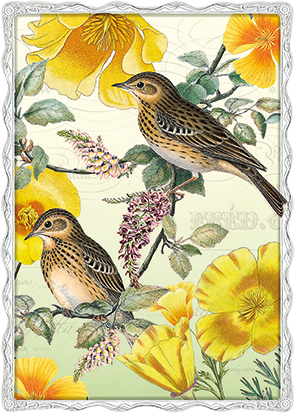 Barbara Behr - Vögel und gelbe Blüten