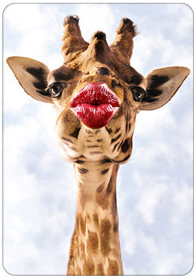 Hartung Verlag - Medley - Giraffe