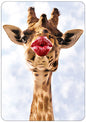 Hartung Verlag - Medley - Giraffe