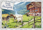 Barbara Behr - Grüße aus dem Schwarzwald (Kühe) No. 61