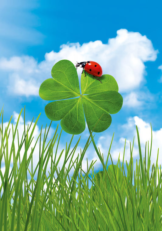 Hartung Verlag - Medley - Kleeblatt mit Marienkäfer
