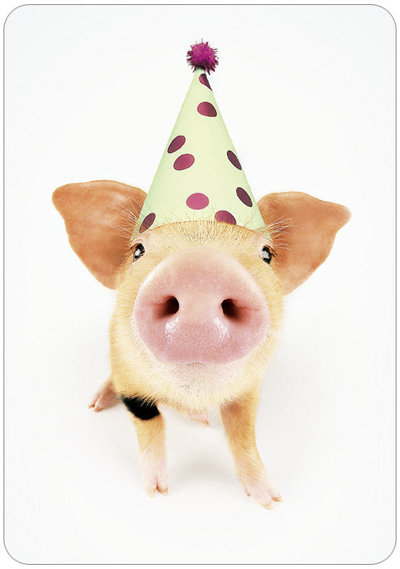 Hartung Verlag - Medley - Partyschwein