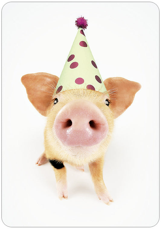 Hartung Verlag - Medley - Partyschwein