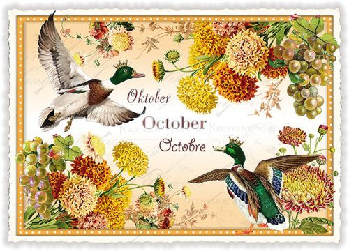 PK 1031 - Oktober
