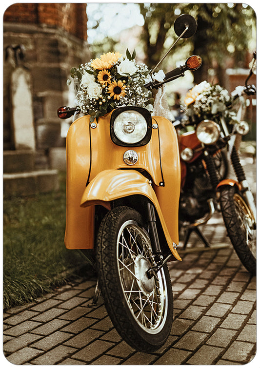 Hartung Verlag - Feel Good - Schwalbe