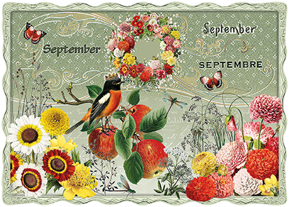 Barbara Behr - September, September, Septembre No. 39