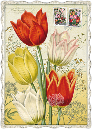 Barbara Behr - Tulpen